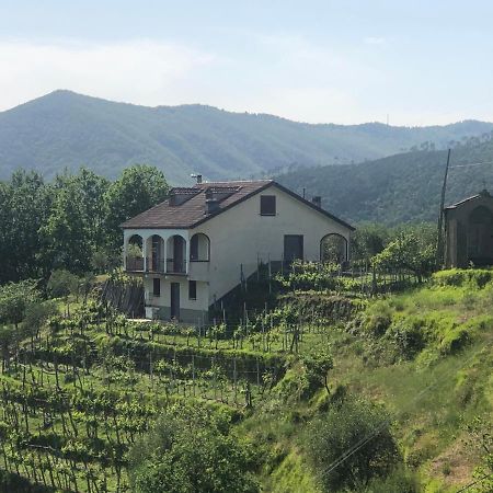Villa Elena Mezzanego Exterior foto