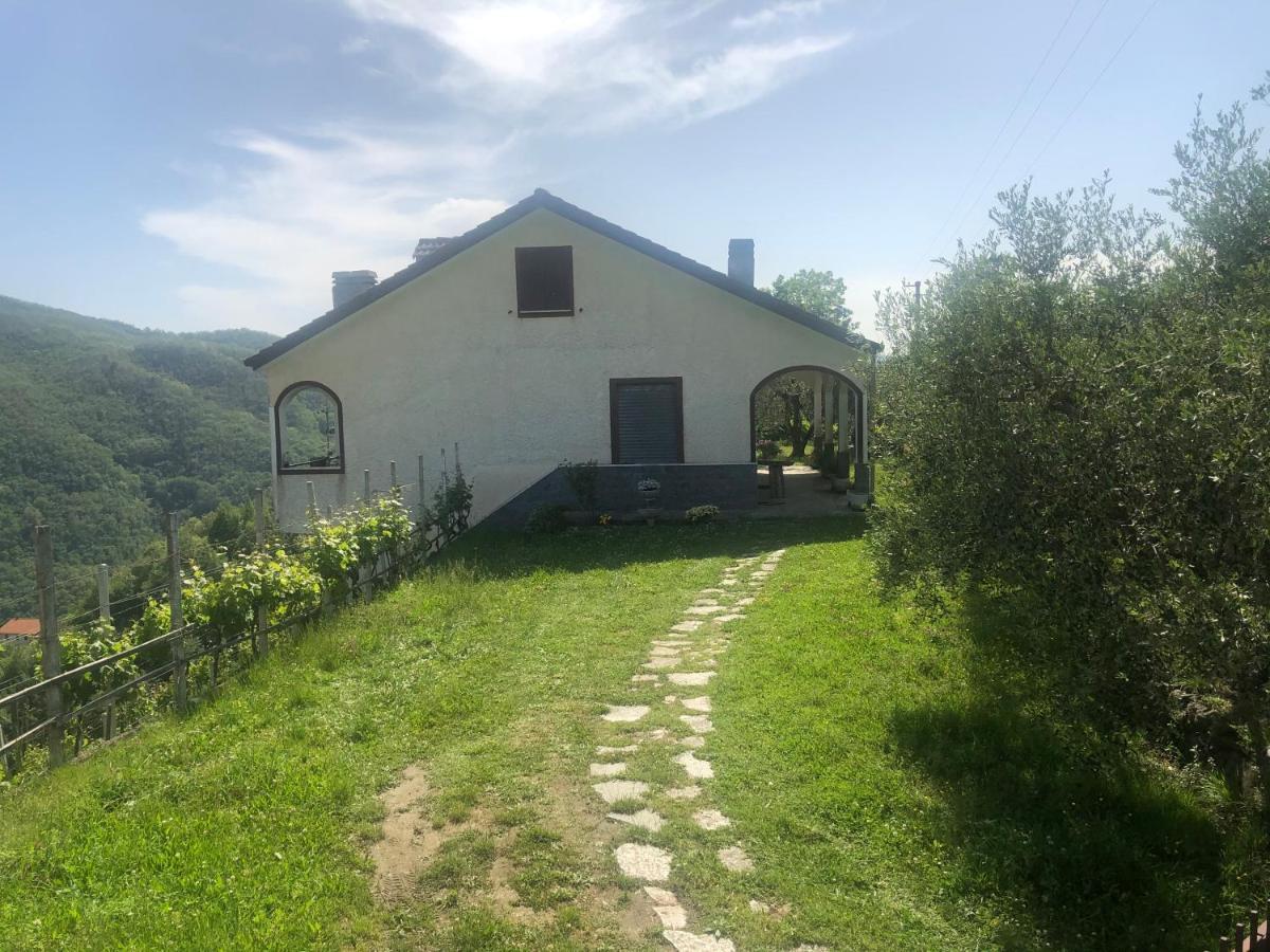 Villa Elena Mezzanego Exterior foto