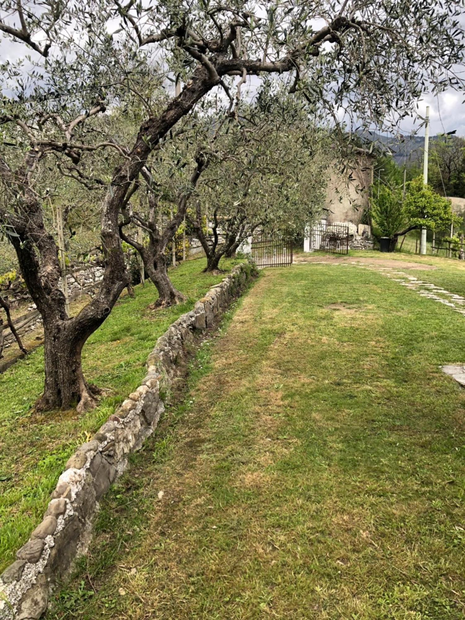 Villa Elena Mezzanego Exterior foto